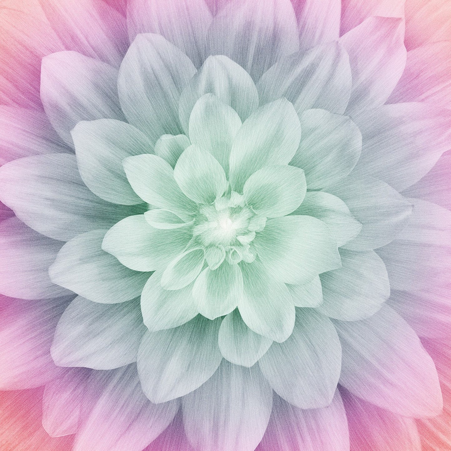 Hoffman Fabrics Pastel Dream Large Flower Panel from the Dream Big Digital Collection 43"x43"