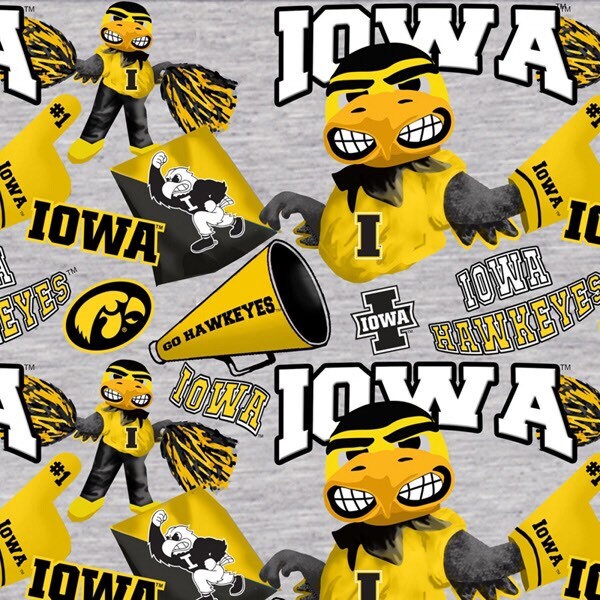 Iowa Mascot on Grey Cotton Fabric from Sykel Enterprises