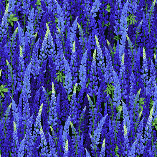 Blue Lavender Floral Wild Meadow By Chong-A Hwang for Timeless Treasures cotton Fabric