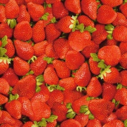 Strawberries from Farmers Market for RJR Fabrics