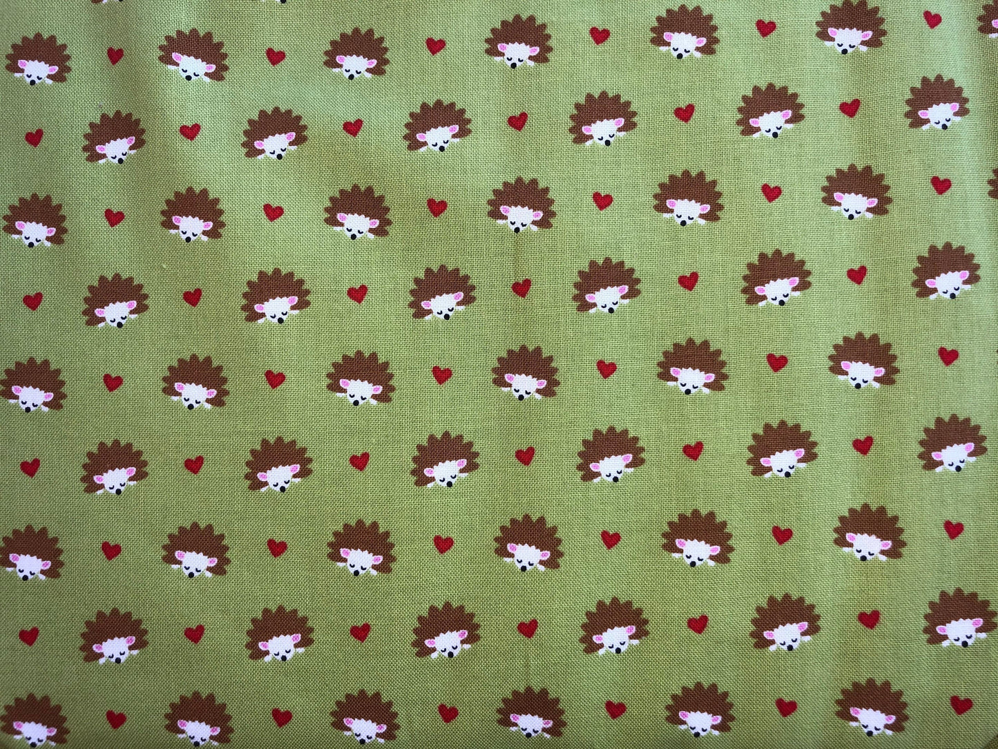 Hedgehog Heaven CX43330-LIME-D by Michael Miller Cotton Fabrics