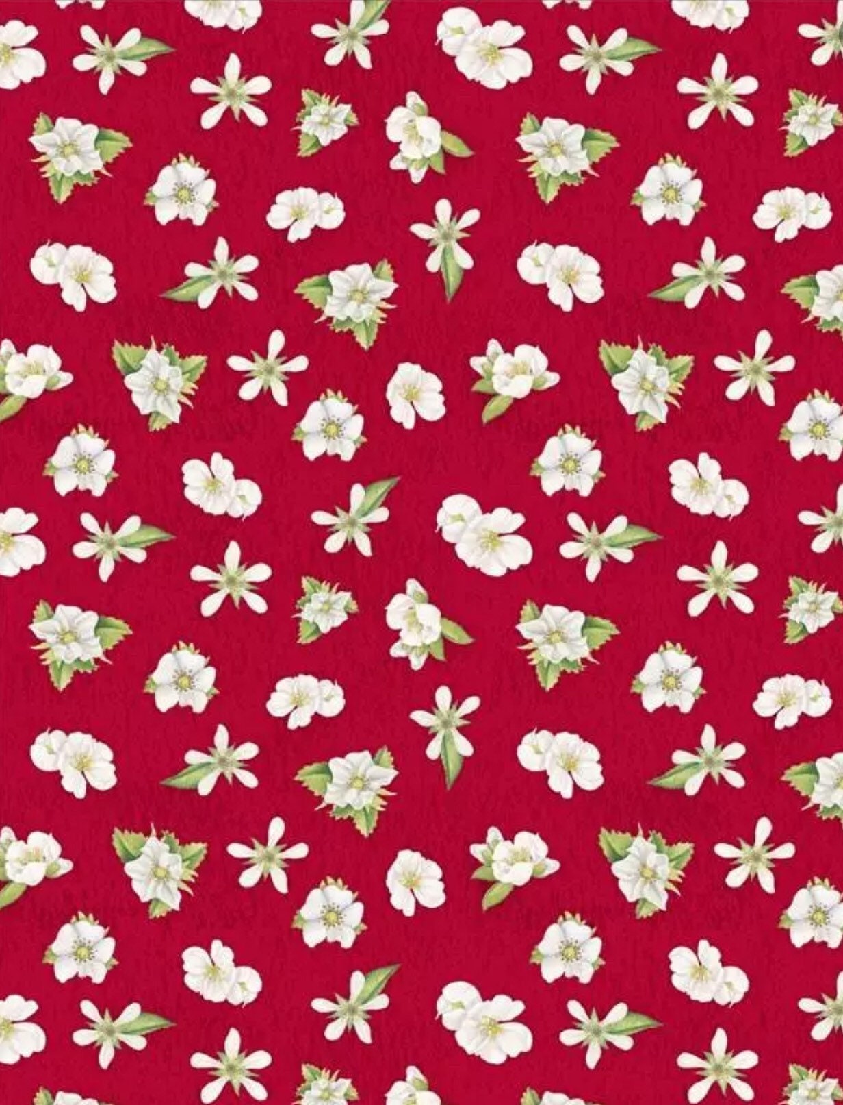 Floral Red 13006-371 - Wilmington Prints Berry Sweet Cotton Fabric