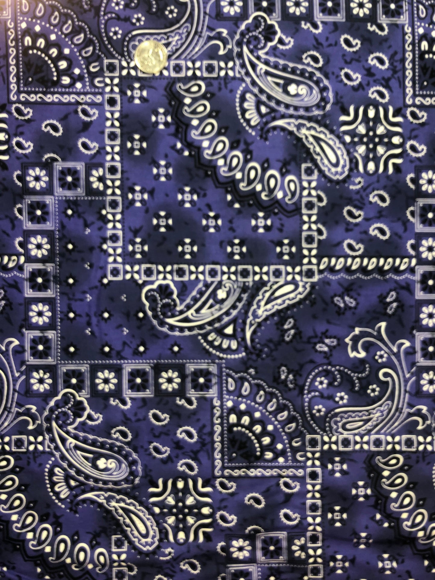 Blue Bandana Patch C132 from Michael Miller Fabrics Cotton Fabric