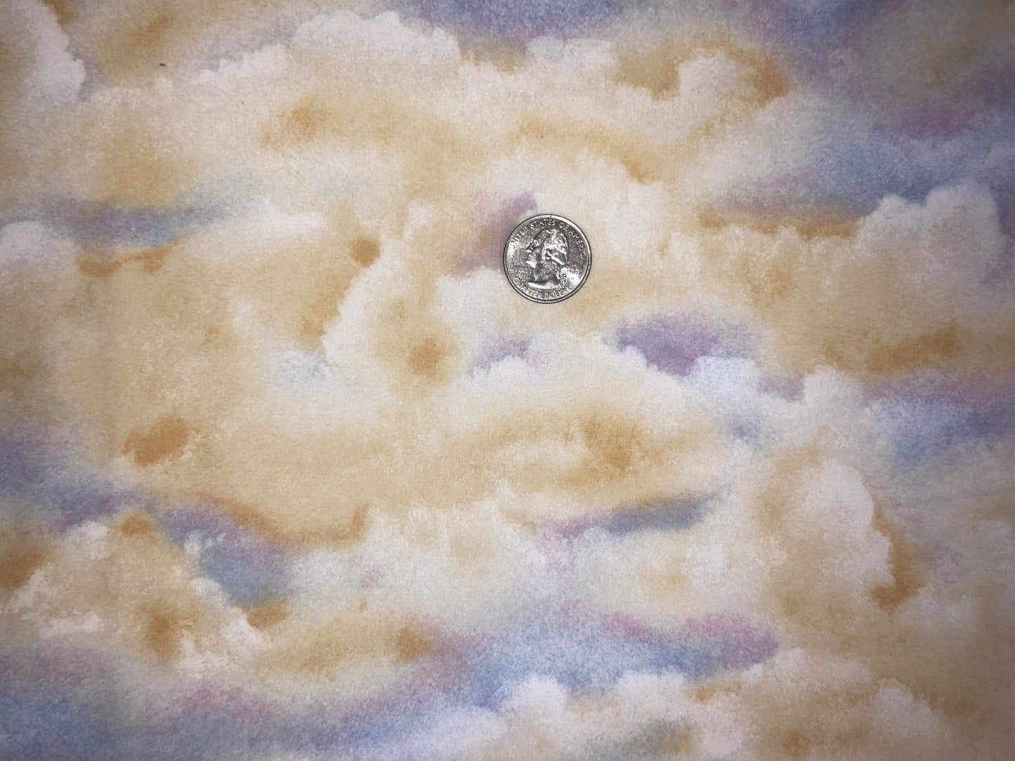 Clouds on Flannel 63005-154 from A Change of Scenery by Wade Butler for Wilmington Prints