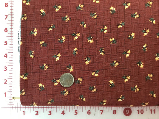 Flying Colors from Thimbleberries Flowers on a Rust Checks Background Cotton Fabric  8518-2