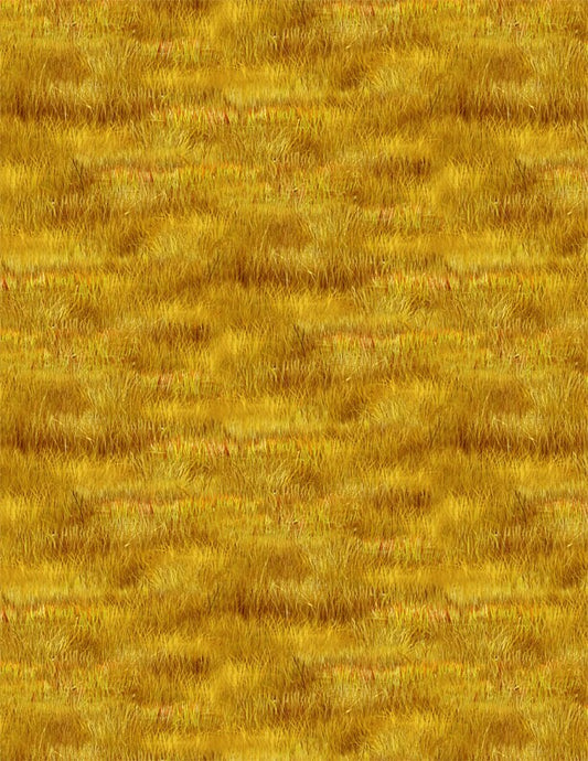 Wilmington Hidden Valley Golden Grass Textures 30181-552